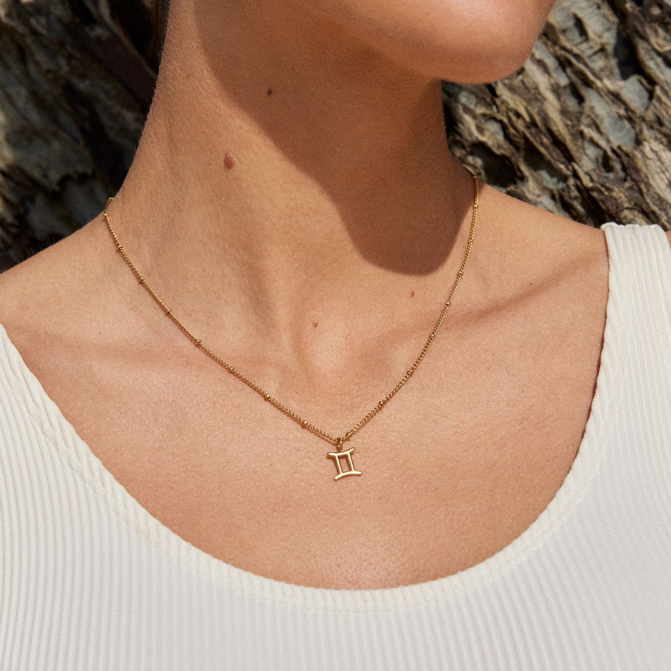 Zodiac Necklace-Maison Doré