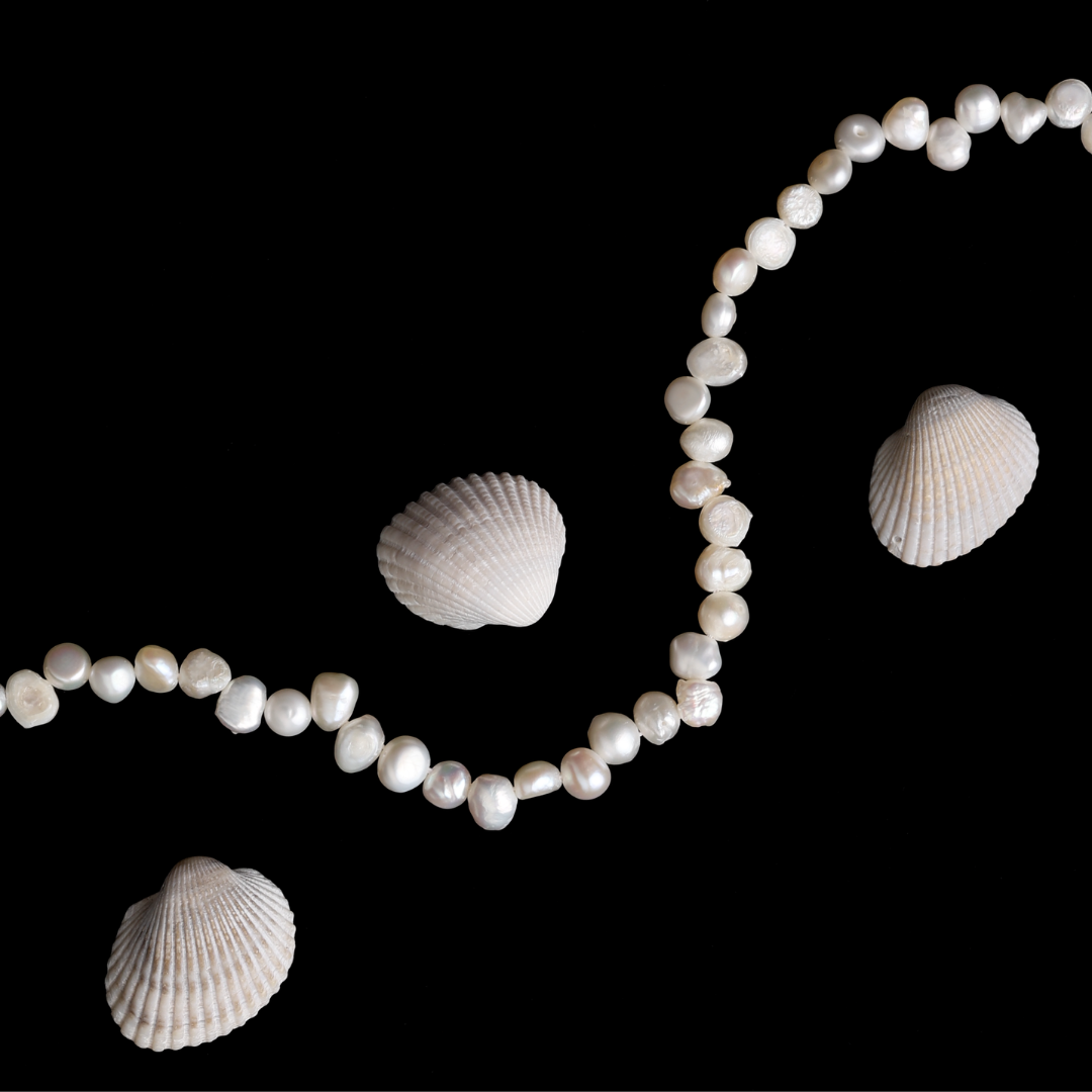 Sunseeker Choker-Maison Doré