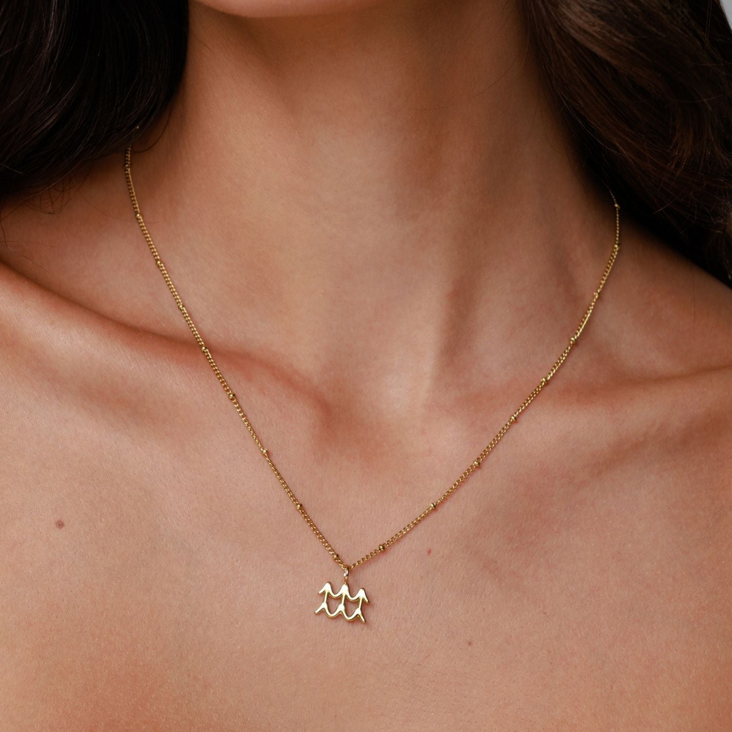 Zodiac Necklace-Maison Doré